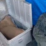 चलती ट्रेन में युवती के शव के टुकड़े मिलने से सनसनी